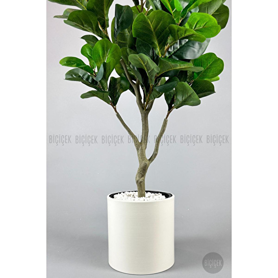 Biçiçek Keman Yapraklı Kauçuk Bitkisi Fiddle Lyrata Metal Saksı Beyaz-150cm