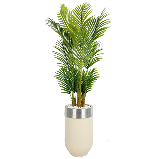 Biçiçek Areka Palmiyesi 160cm Krem Gümüş Metal Darbuka Saksıda