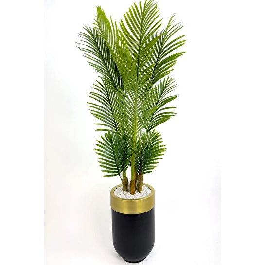Biçiçek Areka Palmiyesi 160cm Siyah Gold Metal Darbuka Saksıda