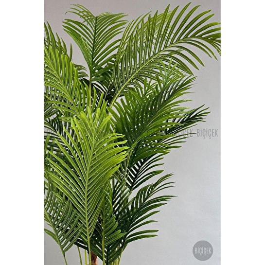 Biçiçek Yapay Areka Palmiyesi 200 Cm Saksıda
