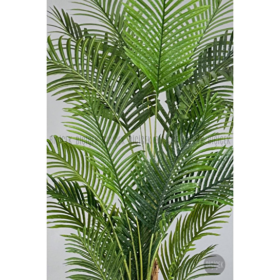 Biçiçek Areka Palmiyesi 220cm Metal Siyah Gümüş Saksıda