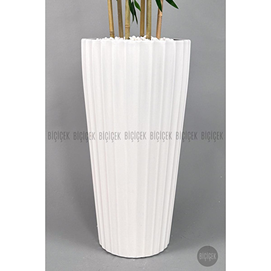 Biçiçek Yapay Bambu Ve Benjamin 6 Dallı Yoğun Yapraklı 220 Cm Beyazbambu