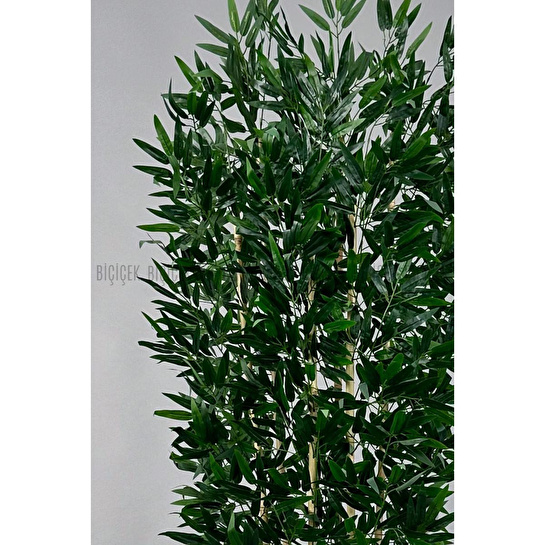 Biçiçek Yapay Bambu Ve Benjamin 6 Dallı Yoğun Yapraklı 220 Cm Beyazbambu