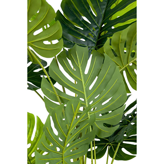 Biçiçek Monstera Ağacı 160cm Krem Gold Metal Saksıda