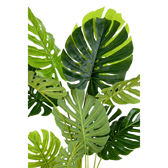 Biçiçek Monstera Ağacı 160cm Krem Gold Metal Saksıda