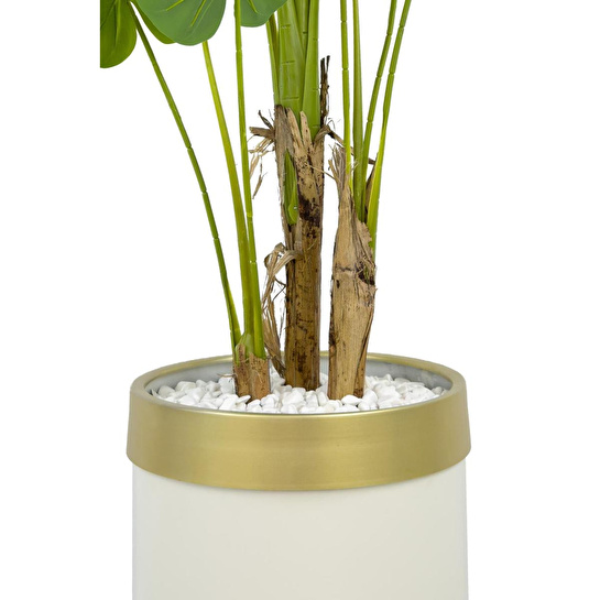 Biçiçek Monstera Ağacı 160cm Krem Gold Metal Saksıda