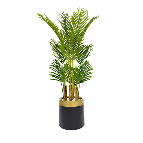 Biçiçek Areka Palmiyesi 160cm Metal Saksıda Black Gold