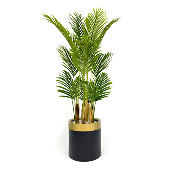 Biçiçek Areka Palmiyesi 160cm Metal Saksıda Black Gold