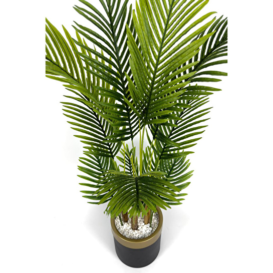 Biçiçek Areka Palmiyesi 160cm Metal Saksıda Black Gold