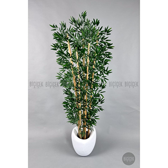 Biçiçek Zen Bambu Ağacı 220-240 Cm Fiber Saksıda Beyazfiber2