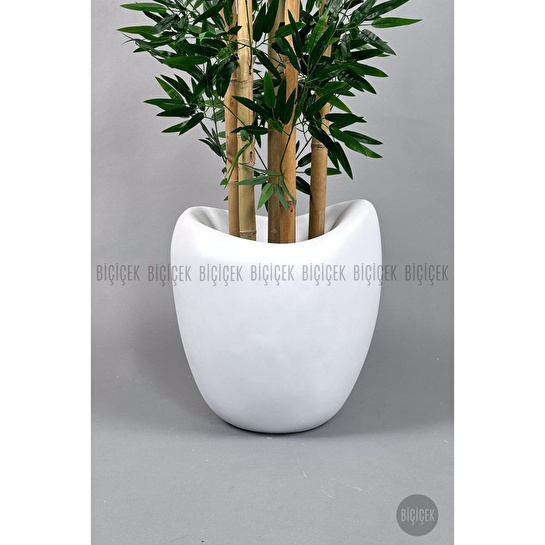 Biçiçek Zen Bambu Ağacı 220-240 Cm Fiber Saksıda Beyazfiber2