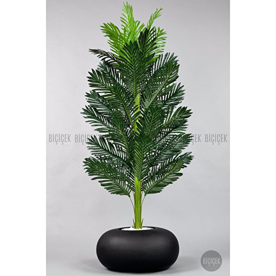 Biçiçek Yapay Areka Ağacı 160-180 Cm Siyahfi̇ber170cm