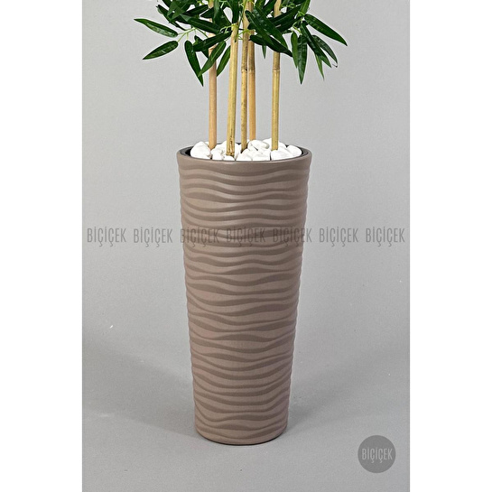Biçiçek Yapay Bambu Ağacı 185cm Büyük Yapraklı 5 Bambulu Bej Renk Kumsal Saksıda Yapay Ağaç