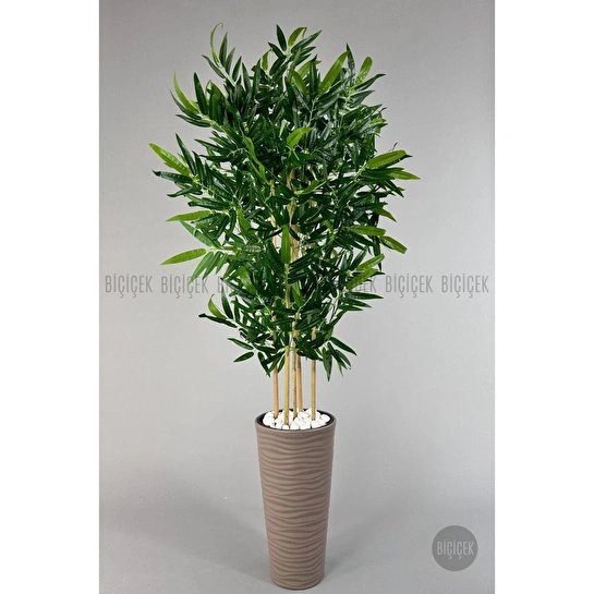 Biçiçek Yapay Bambu Ağacı 185cm Büyük Yapraklı 5 Bambulu Bej Renk Kumsal Saksıda Yapay Ağaç
