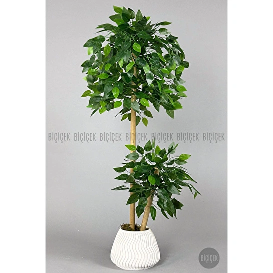 Biçiçek Yapay Benjamin Ağacı Bambu Gövdeli 140cm Büyük Saksıda Yoğun Yapraklı