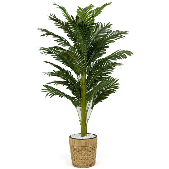 Biçiçek Areka Palmiyesi 140cm Hasır Saksıda Fejka