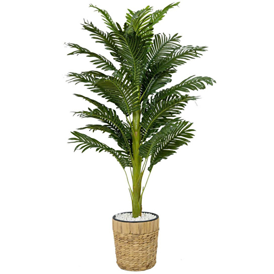 Biçiçek Areka Palmiyesi 140cm Hasır Saksıda Fejka
