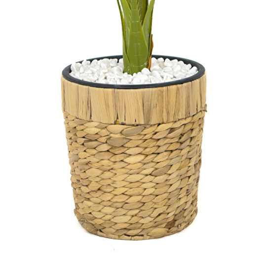 Biçiçek Areka Palmiyesi 140cm Hasır Saksıda Fejka