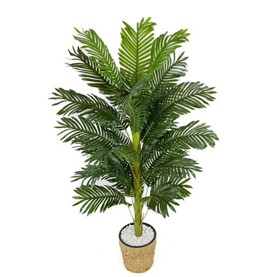Biçiçek Areka Palmiyesi 140cm Hasır Saksıda Fejka