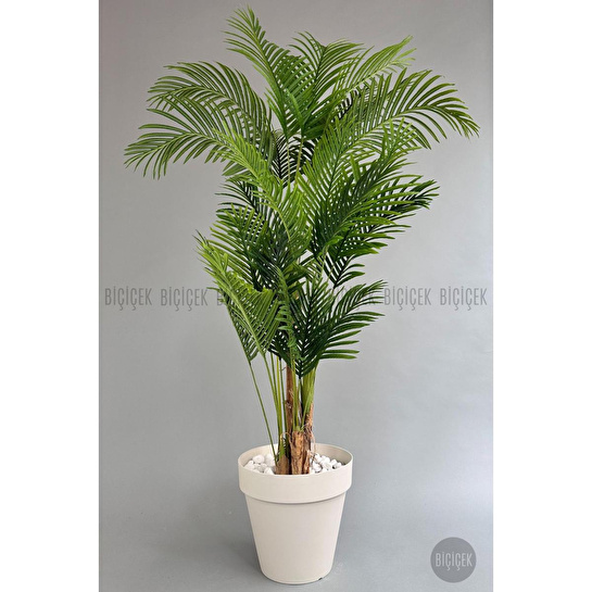 Biçiçek Yapay Areka Ağacı Büyük Boy Palmiye Ağacı 4 Bambu Gövdeli 220cm Kırıkbeyaz Renk Yalı Saksıda