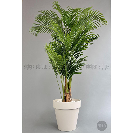 Biçiçek Yapay Areka Ağacı Büyük Boy Palmiye Ağacı 4 Bambu Gövdeli 220cm Kırıkbeyaz Renk Yalı Saksıda