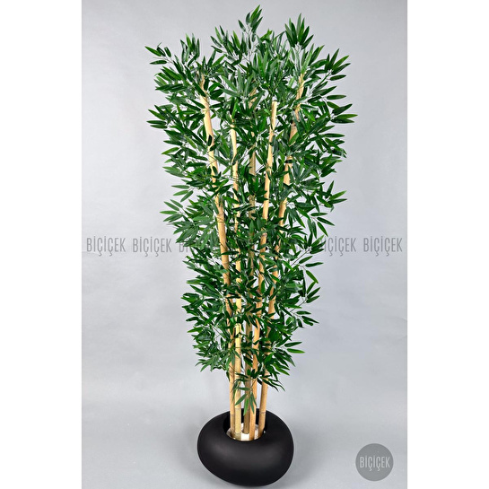 Biçiçek Zen Bambu Ağacı 220-240 Cm Fiber Saksıda Siyahfiber1