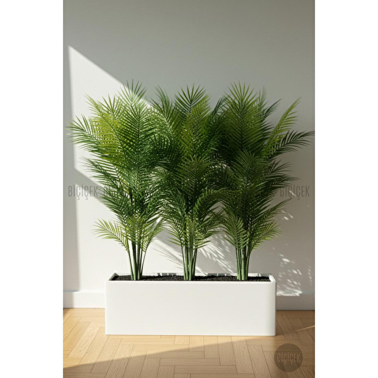 Biçiçek Areka Ağaci 24 Yaprakli 120-130 Cm Çok Renkli