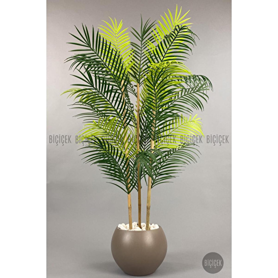 Biçiçek 120cm Areka Ağacı 24 Yapraklı Küre Saksıda 3
