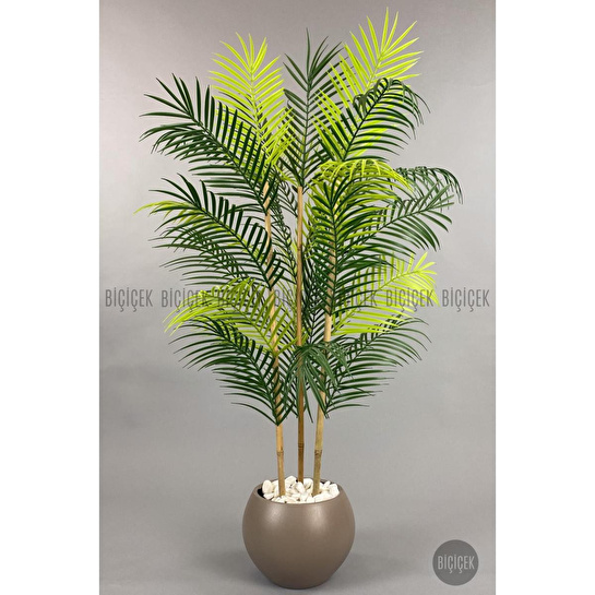 Biçiçek 120cm Areka Ağacı 24 Yapraklı Küre Saksıda 3