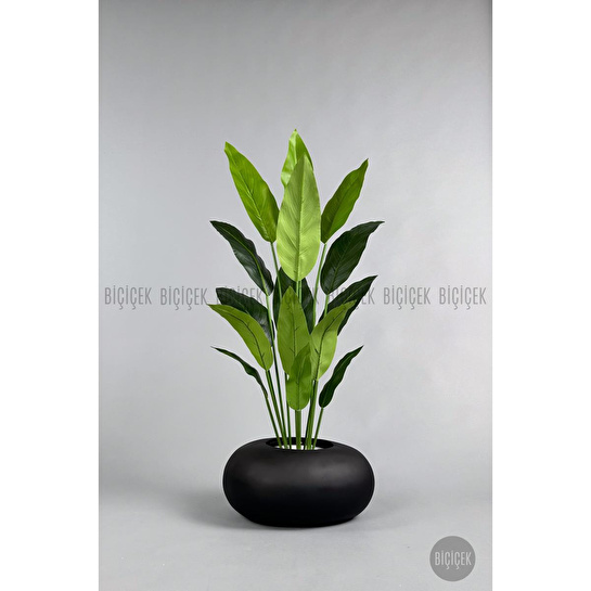 Biçiçek Yapay Starliçe Ağacı 140-170 Cm Siyah3