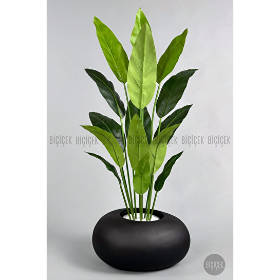 Biçiçek Yapay Starliçe Ağacı 140-170 Cm Siyah3