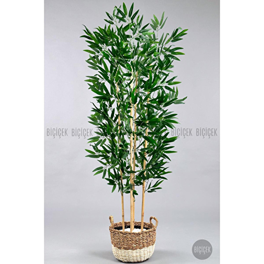 Biçiçek 140 Cm Yapay Bambu Ağacı Krem Hasır Saksıda