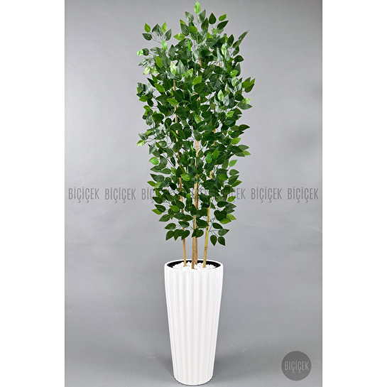 Biçiçek Yapay Bambu Ve Benjamin 4 Dal Yoğun Yapraklı 180 Cm Beyazbenjamin