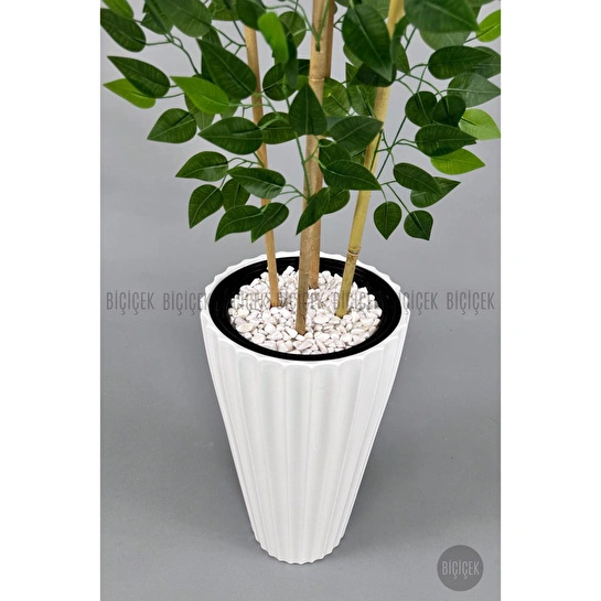 Biçiçek Yapay Bambu Ve Benjamin 4 Dal Yoğun Yapraklı 180 Cm Beyazbenjamin