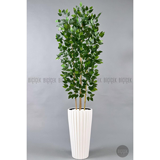 Biçiçek Yapay Bambu Ve Benjamin 4 Dal Yoğun Yapraklı 180 Cm Beyazbenjamin