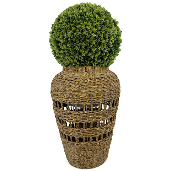 Biçiçek Luxury Şimşir Ağacı 100cm Hasır Saksıda Bohem3
