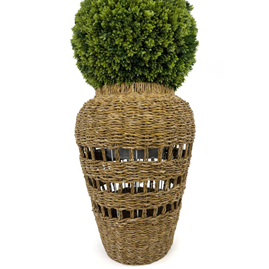 Biçiçek Luxury Şimşir Ağacı 100cm Hasır Saksıda Bohem3