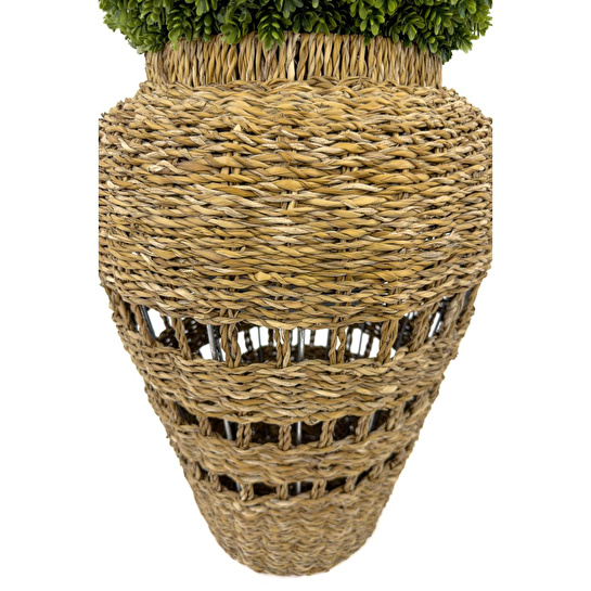 Biçiçek Luxury Şimşir Ağacı 100cm Hasır Saksıda Bohem3