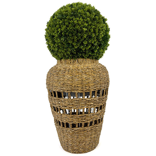 Biçiçek Luxury Şimşir Ağacı 100cm Hasır Saksıda Bohem3