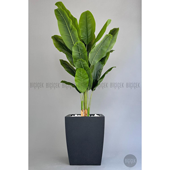 Biçiçek Yapay Muz Ağacı 200 Cm Lux Dış Mekan Saksıda 2