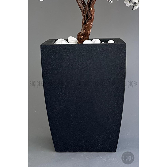 Biçiçek Bonzai Gövdeli Beyaz Sakura Ağacı 100cm Dış Mekana Uygun