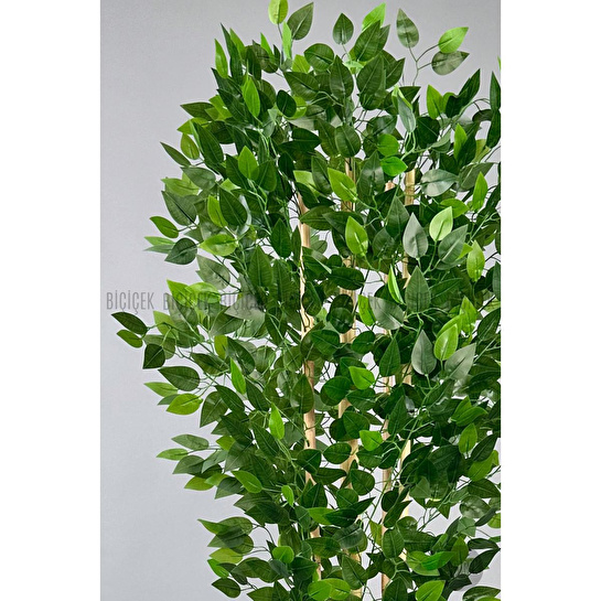 Biçiçek Yapay Benjamin Ağacı 170cm Siyah Metal Saksıda Gold