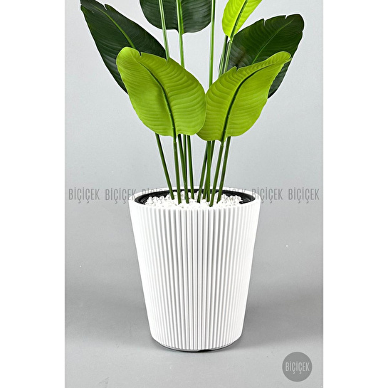 Biçiçek Yapay Muz Ağacı 145-185 Cm Beyaz3