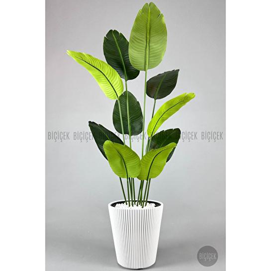 Biçiçek Yapay Muz Ağacı 145-185 Cm Beyaz3