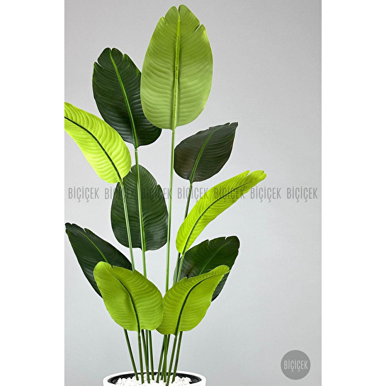 Biçiçek Yapay Muz Ağacı 145-185 Cm Beyaz3