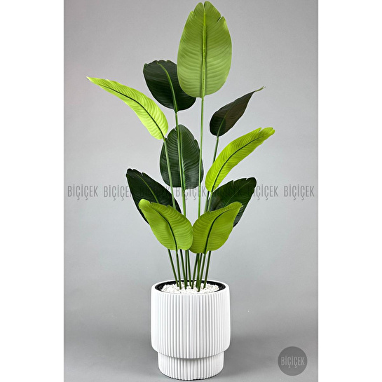 Biçiçek Yapay Muz Ağacı 145-185 Cm Beyaz1