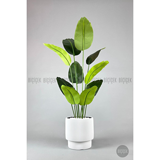 Biçiçek Yapay Muz Ağacı 145-185 Cm Beyaz1