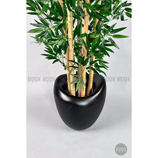 Biçiçek Zen Bambu Ağacı 220-240 Cm Fiber Saksıda Siyahfiber2