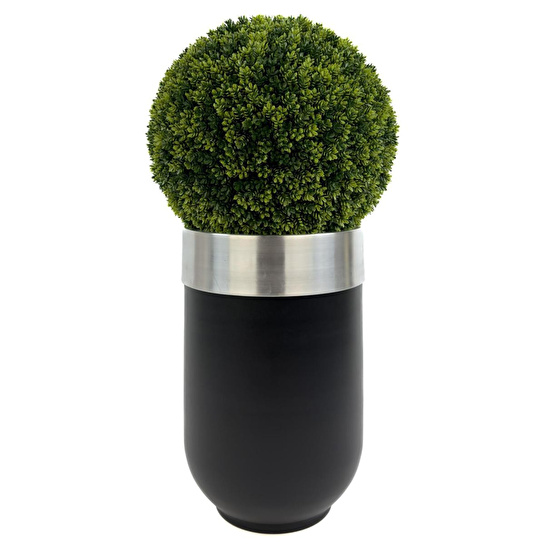 Biçiçek Şimşir Ağacı 90cm Siyah Gümüş Darbuka Saksıda