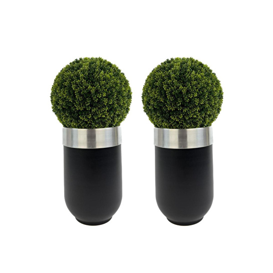 Biçiçek Şimşir Ağacı 90cm Siyah Gümüş Darbuka Saksıda